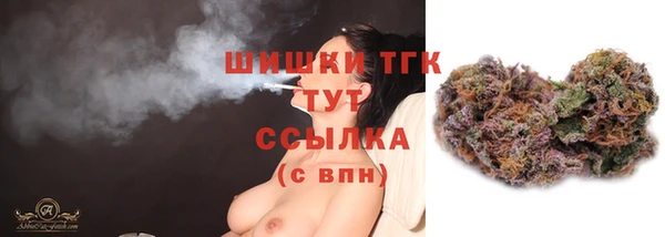 шишки Балахна
