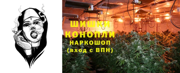 шишки Балахна