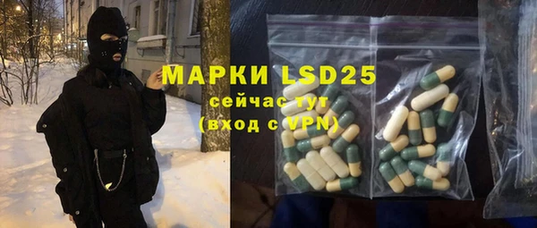 шишки Балахна