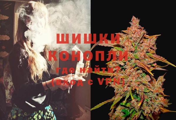 шишки Балахна