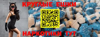 стафф Дубна