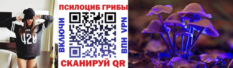 купить наркоту  Долгопрудный  MEGA рабочий сайт  Псилоцибиновые грибы ЛСД 
