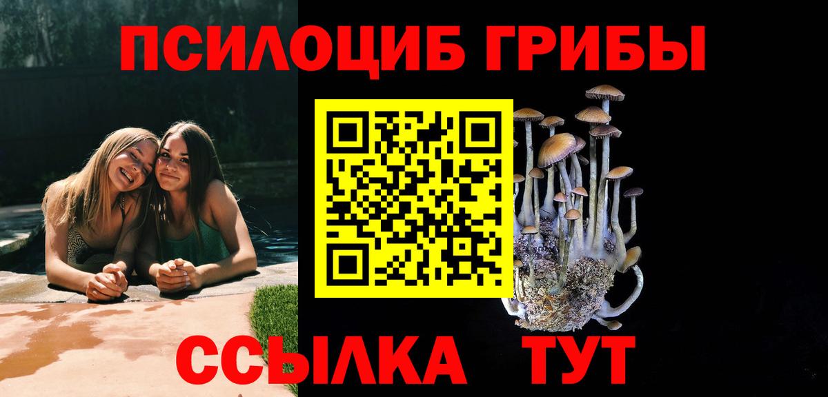 Псилоцибиновые грибы ЛСД  Псилоцибиновые грибы MAGIC MUSHROOMS  Долгопрудный  купить наркотики цена  Вход с VPN 