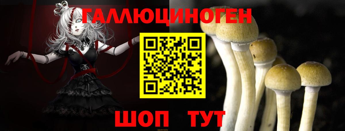 Псилоцибиновые грибы мухоморы Долгопрудный