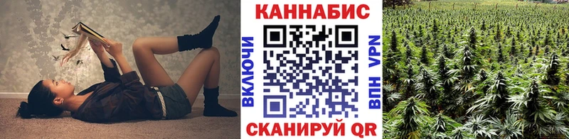 Бошки Шишки VHQ Долгопрудный